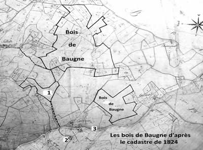 Bois de Baugne cadastre 1824